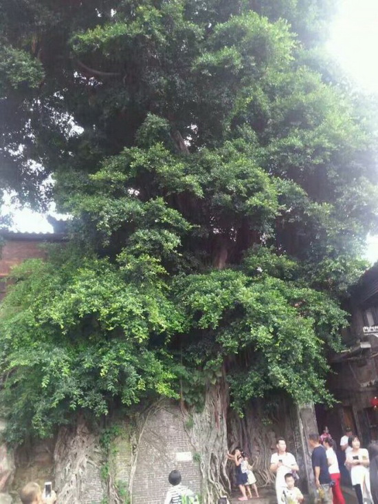 欧博abg - 官方网址登录入口