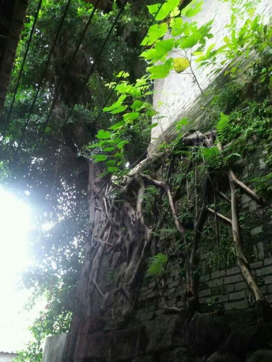 欧博abg - 官方网址登录入口