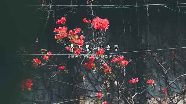 欧博abg - 官方网址登录入口