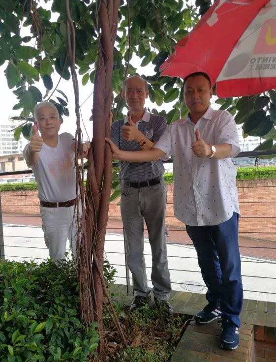 欧博abg - 官方网址登录入口