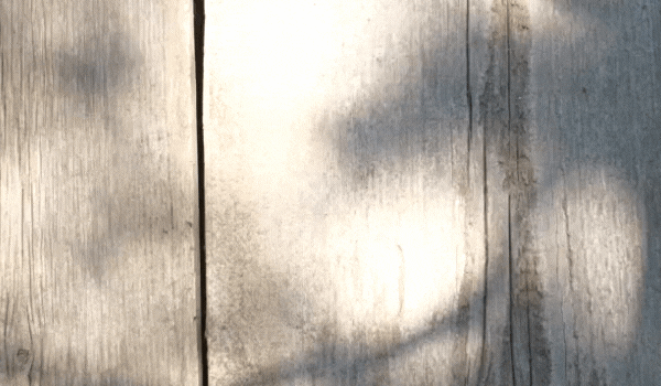 欧博ABG和地砖木质纹理效果图