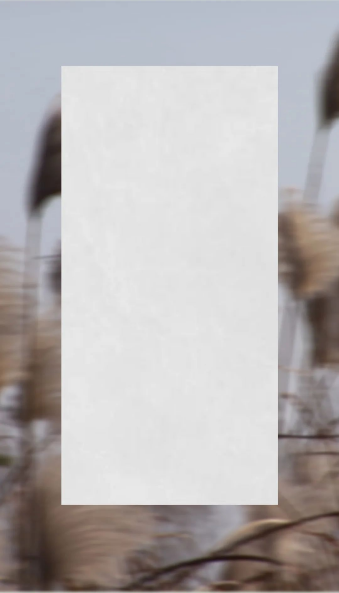 欧博ABG葭灰质感砖图