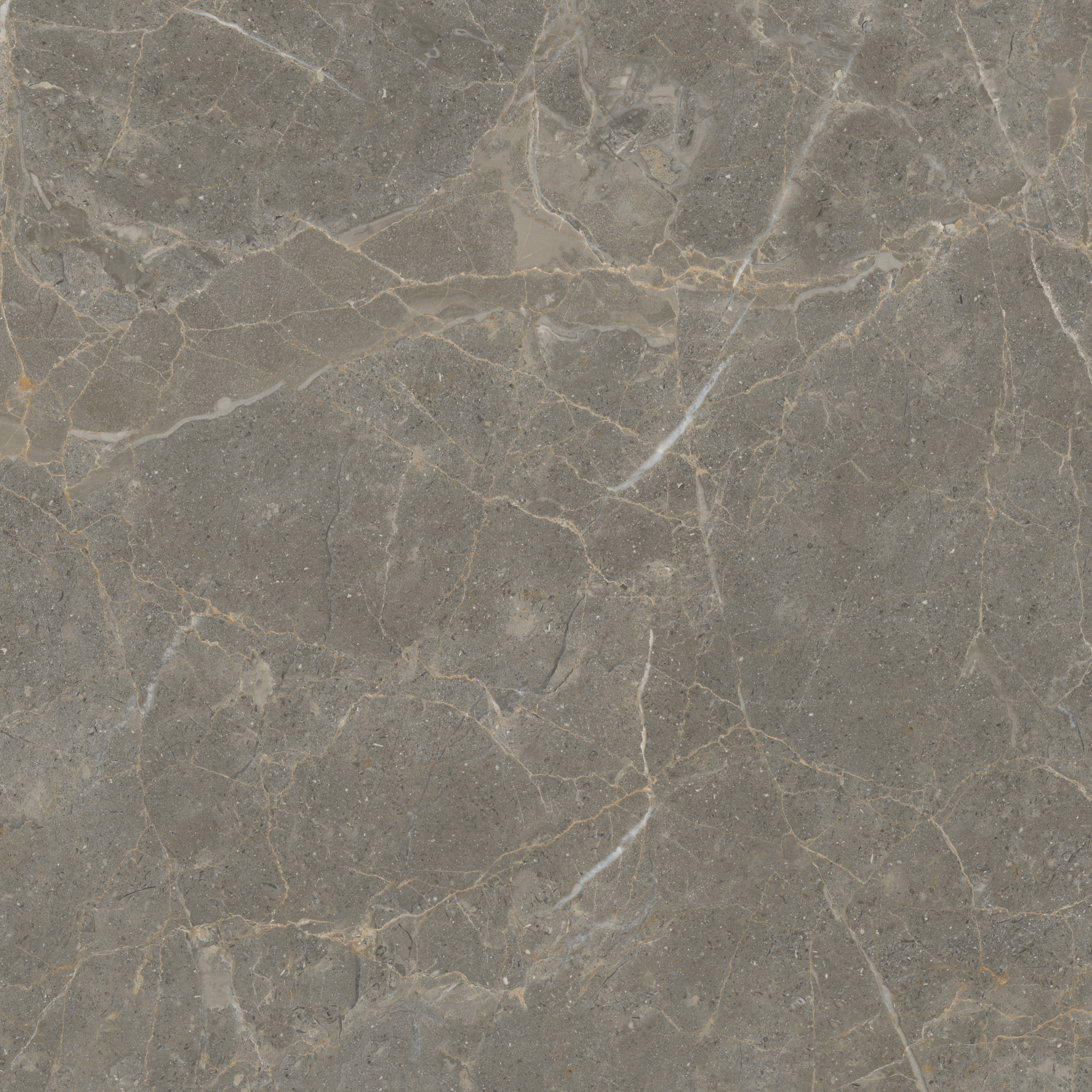 欧博abg - 官方网址登录入口