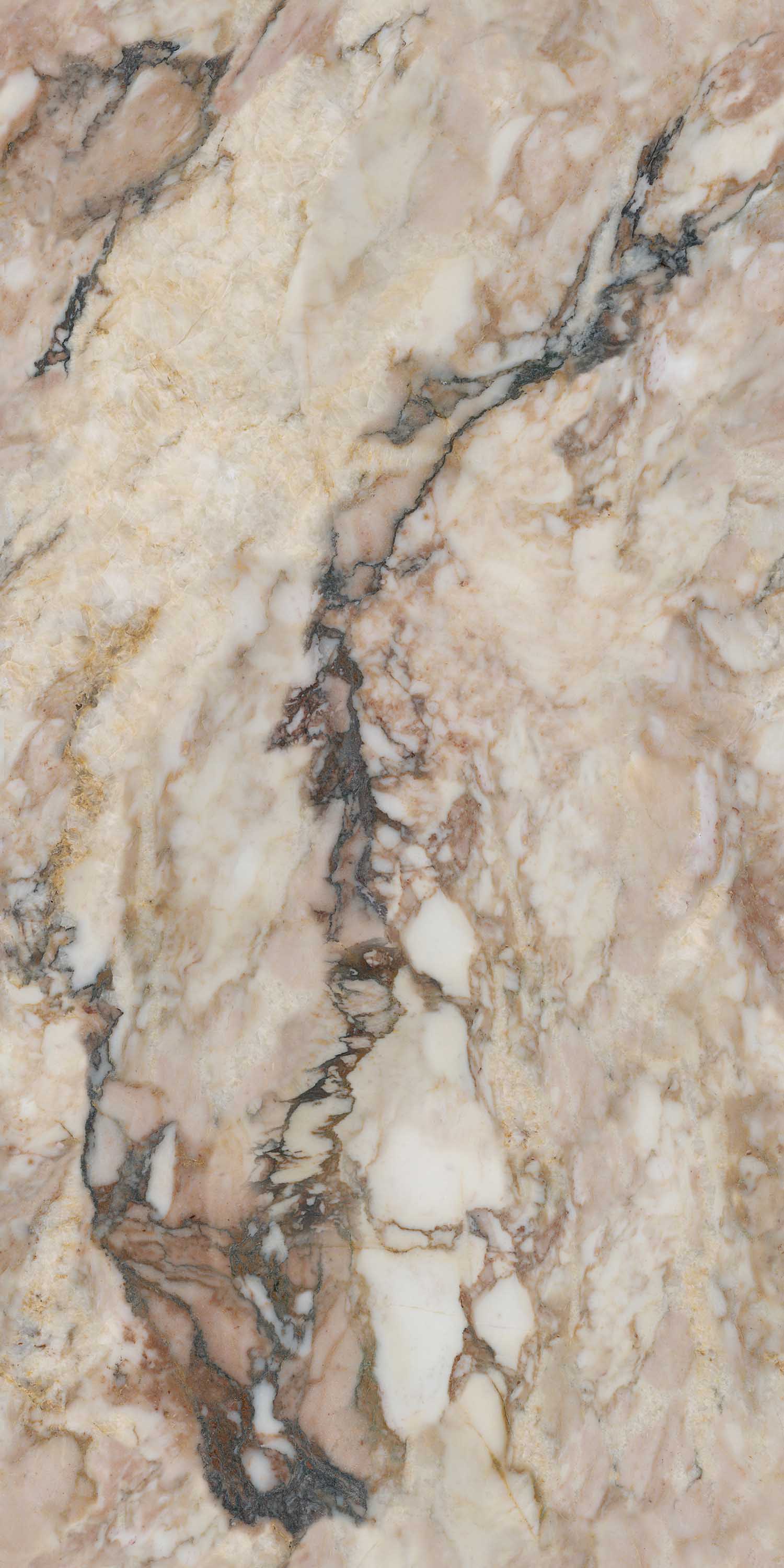 欧博abg - 官方网址登录入口