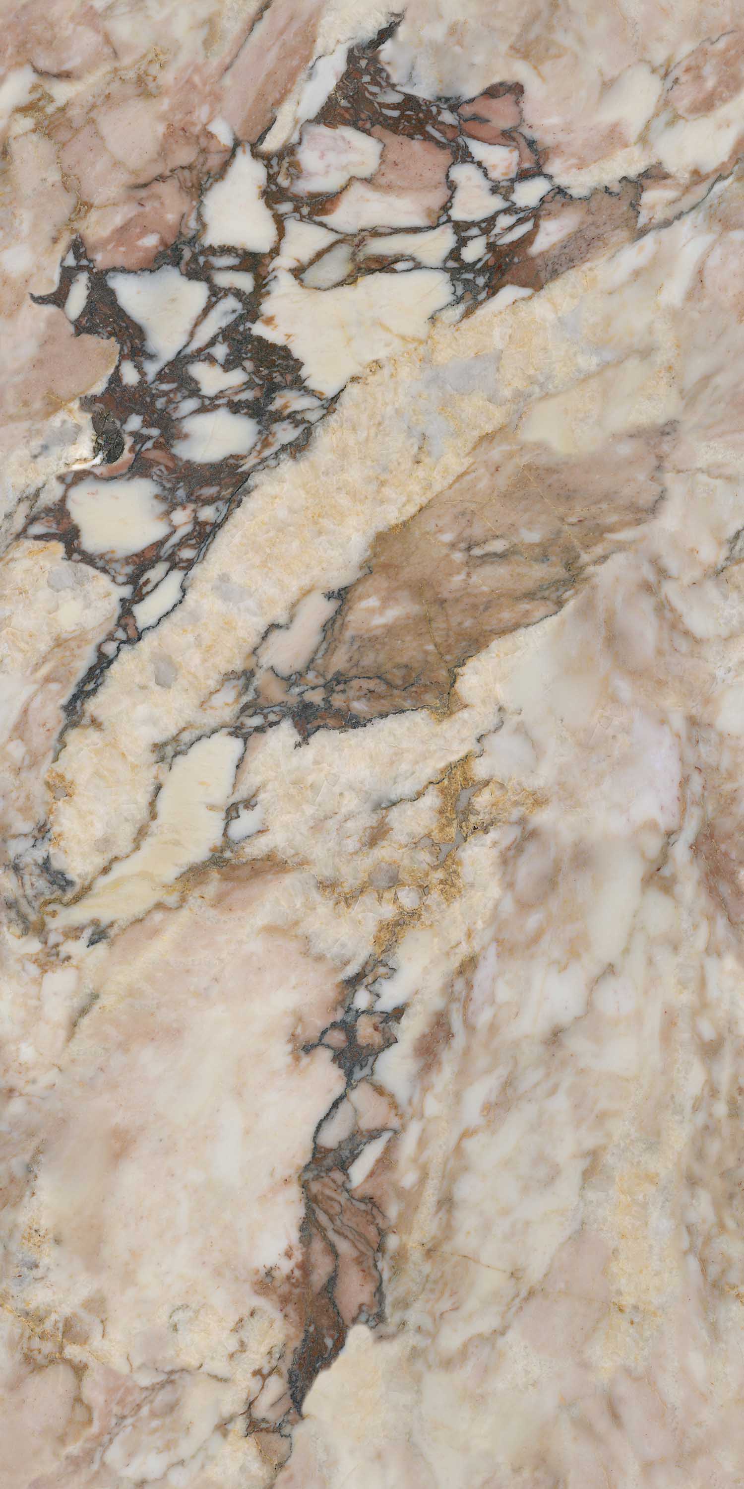 欧博abg - 官方网址登录入口