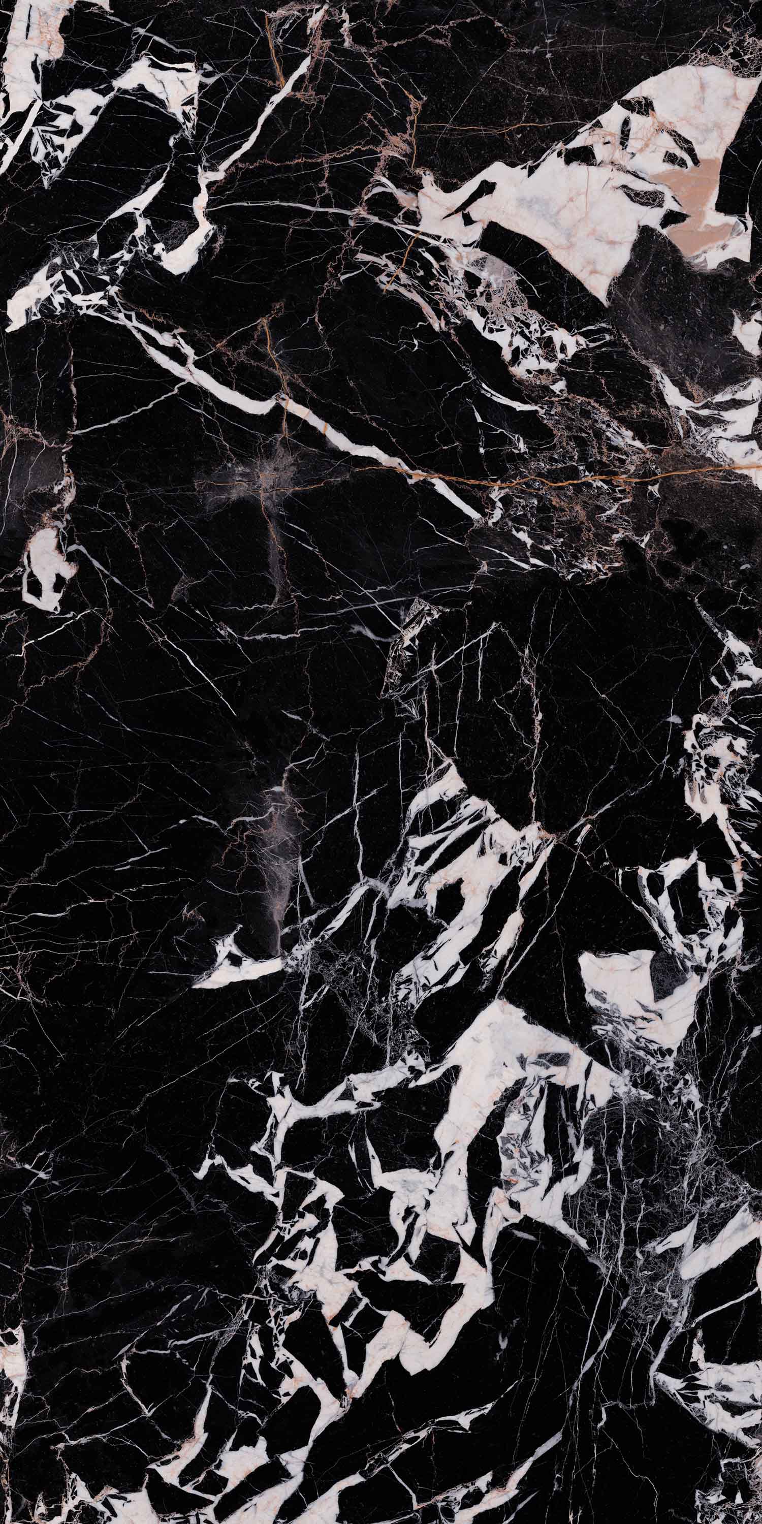 欧博abg - 官方网址登录入口